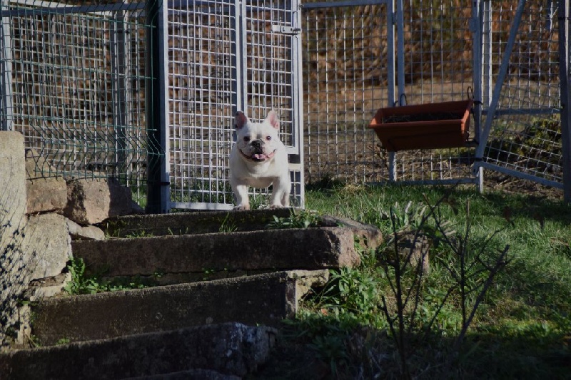 Publication : des Gamins de Rubis Auteur : Fabienne Thomas