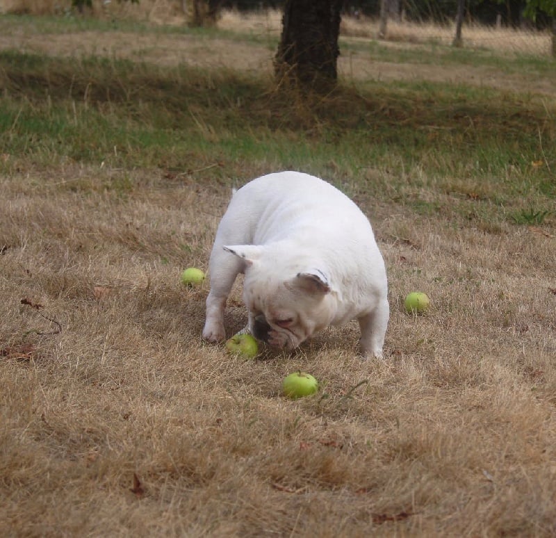 Publication : des Gamins de Rubis Auteur : Fabienne Thomas