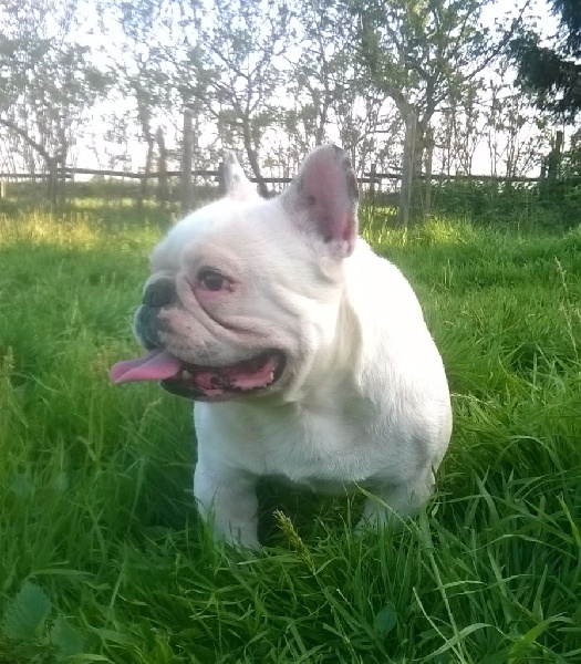 Publication : des Gamins de Rubis Auteur : Fabienne Thomas