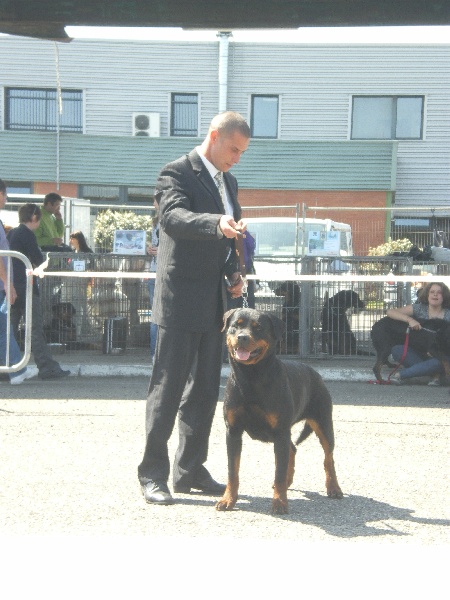 Publication : von Cadurcorum