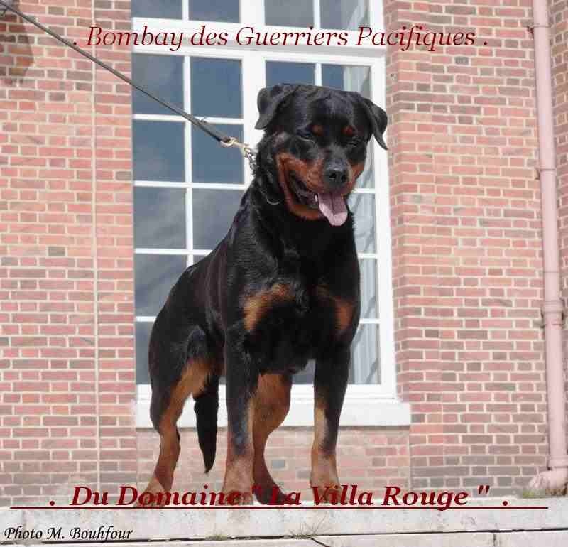 Publication : von Cadurcorum