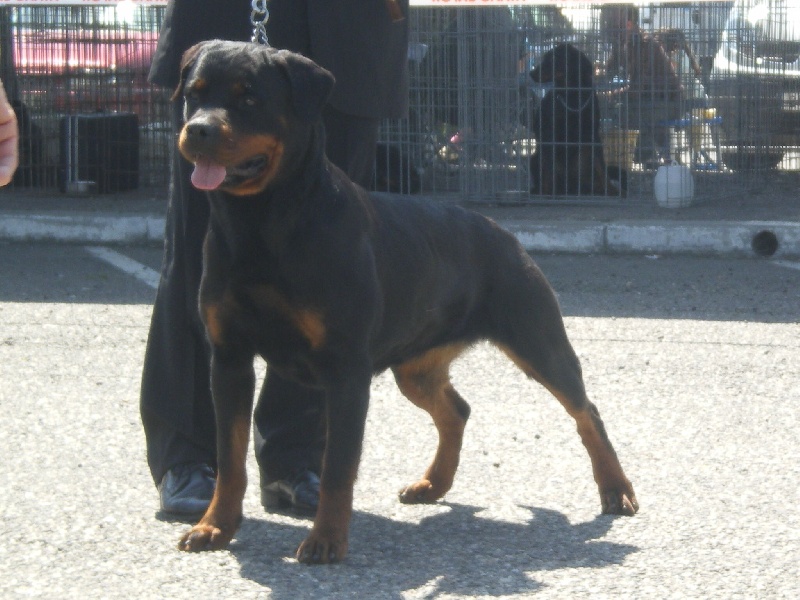 Publication : von Cadurcorum