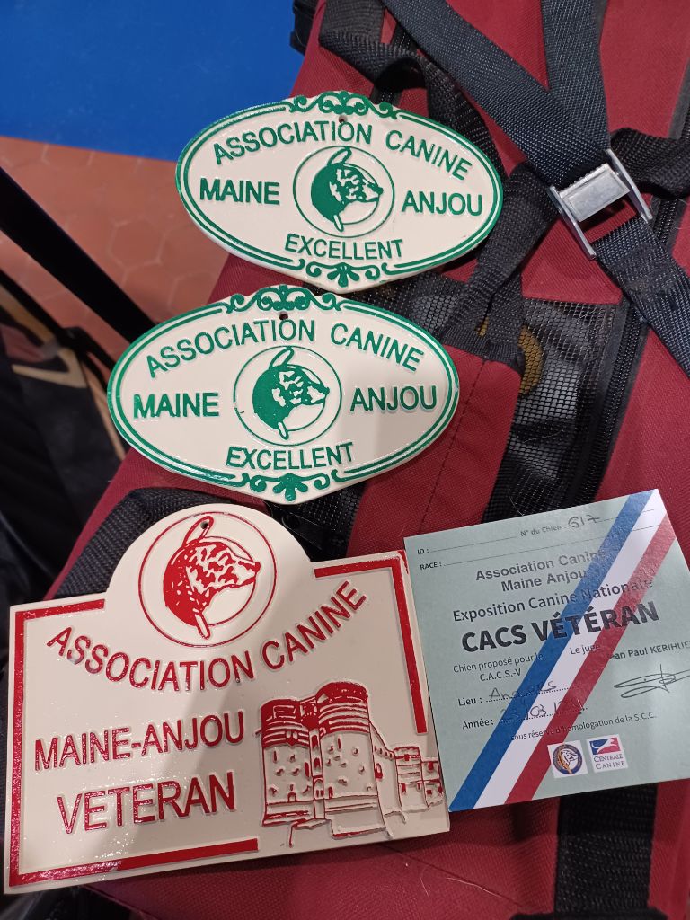 Fanny de l'Eden des Emeraudes - 2ème EXCELLENT