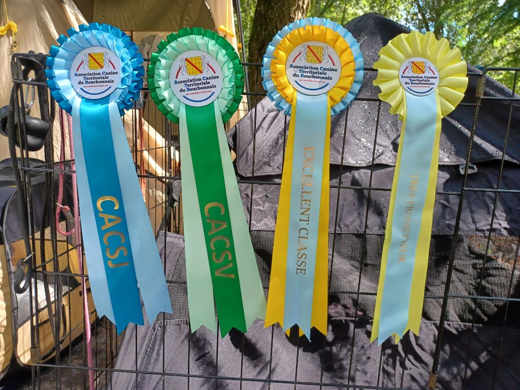 Fanny de l'Eden des Emeraudes - 2ème EXCELLENT