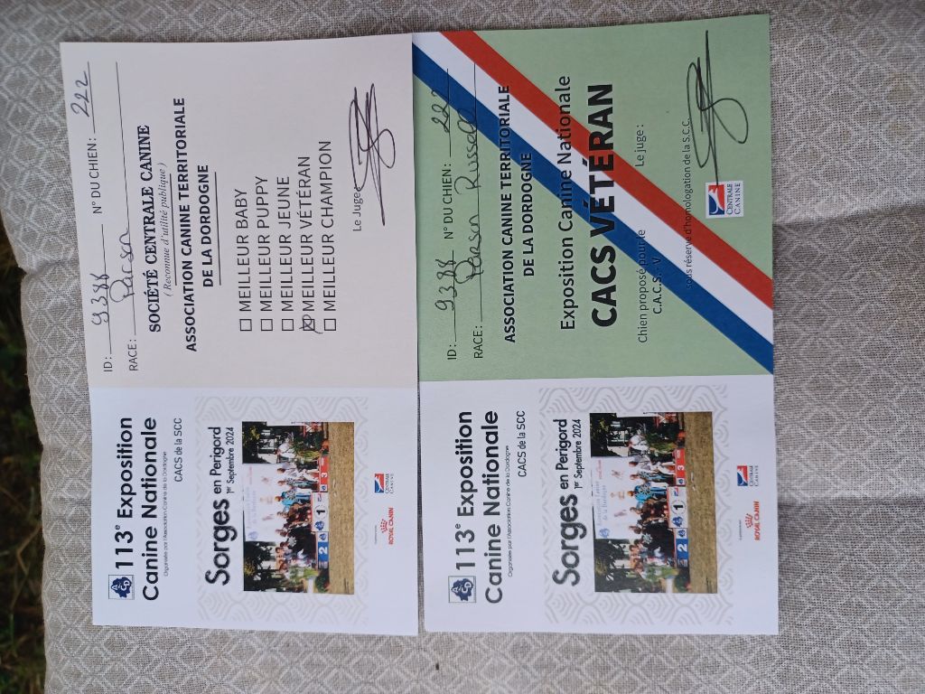 Fanny de l'Eden des Emeraudes - 1ère EXC Meilleur Vétéran CACS Vétéran