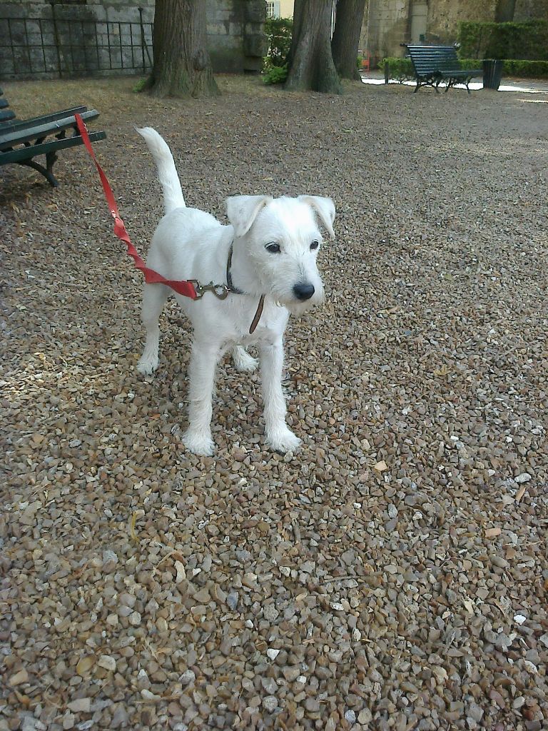 Fanny de l'Eden des Emeraudes - 1ère EXC RCACS