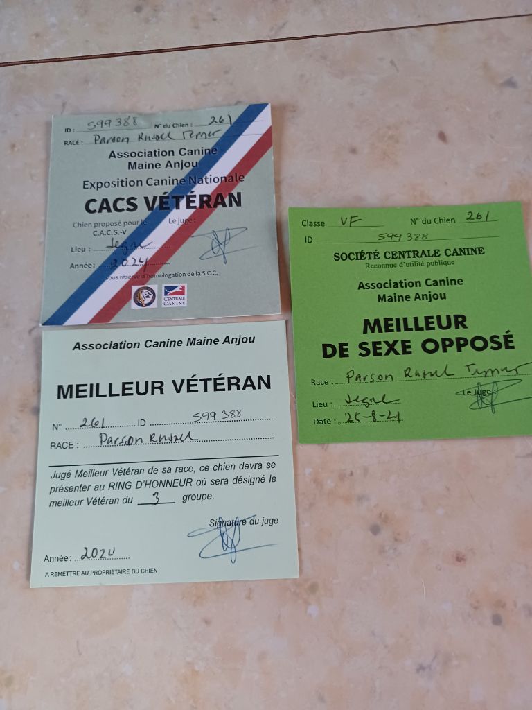 Fanny de l'Eden des Emeraudes - 1ère EXC Meilleur Vétéran M.SO CACS Vétéran