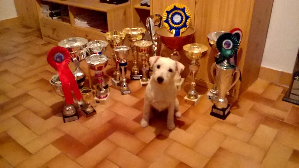 Fanny de l'Eden des Emeraudes - 1ER EXC MEILLEUR VETERAN