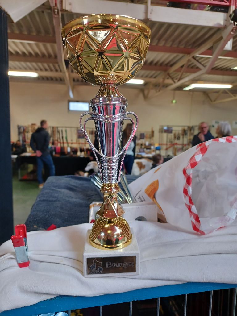 Fanny de l'Eden des Emeraudes - 1ère EXC Meilleur Vétéran CACS Vétéran