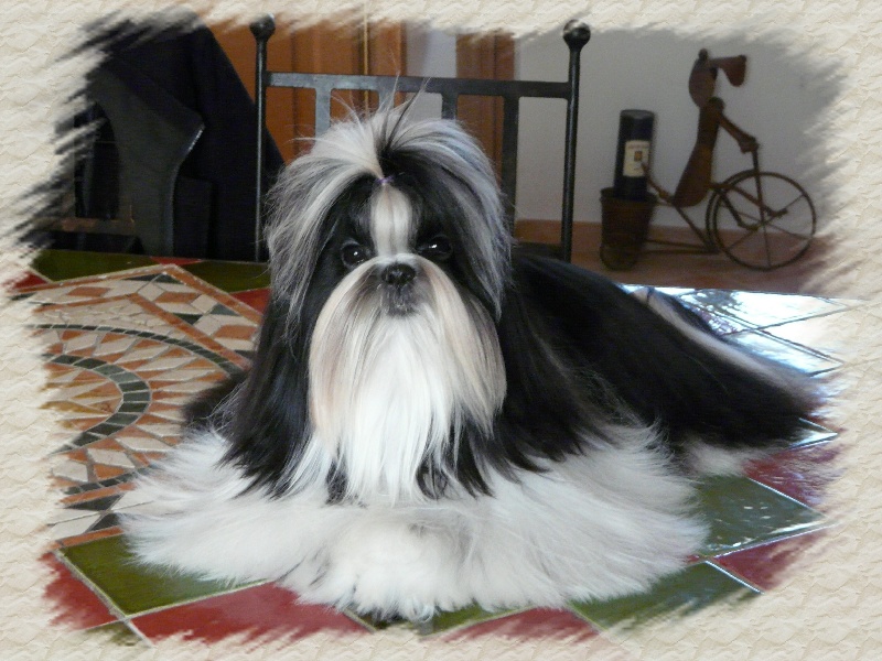 Flash-back de la vallée de Frigolet