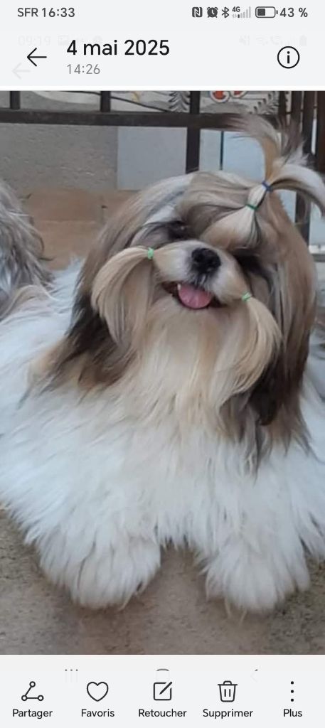 De kagyu ling Rhythm