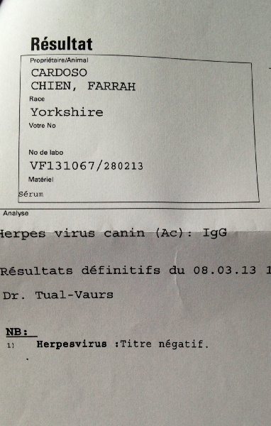 Publication : of American Feeling Auteur : july cardoso