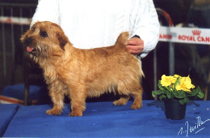 Publication : boomer