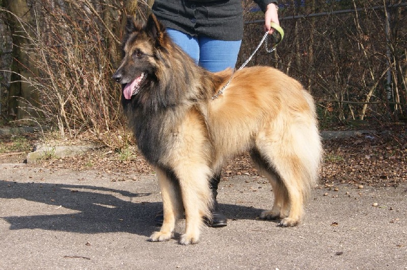 Mylan Of the smart spirit - 2e Excellent - Classe Ouverte