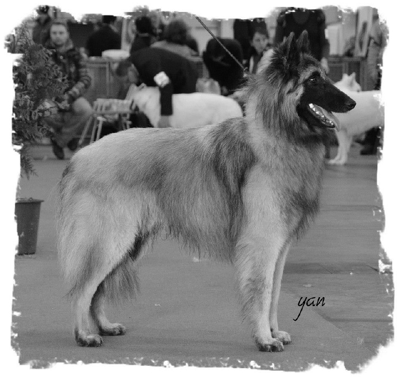 Mylan Of the smart spirit - 2e Très Bon - Classe Jeune