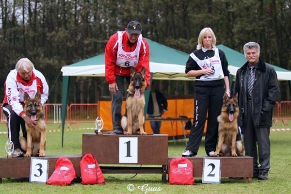 CH. Chakira-opal v.d. ybajo hoeve - 1 VB PRE-PUPPS TEVEN