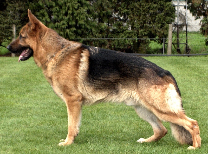 Beau von averegte (Sans Affixe) - 2 U gebruiks klasse reuën