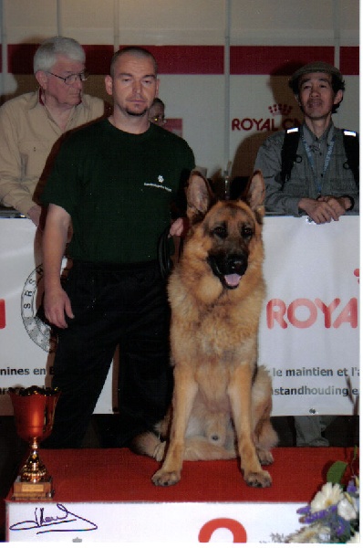 Beau von averegte (Sans Affixe) - CAC, CACIB + BOP