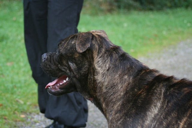 Publication : Cadeous des htes-fagnes