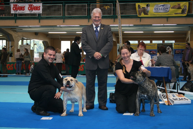 Publication : Cadeous des htes-fagnes Auteur : Thevissen Eric