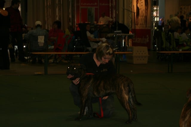 Publication : Cadeous des htes-fagnes