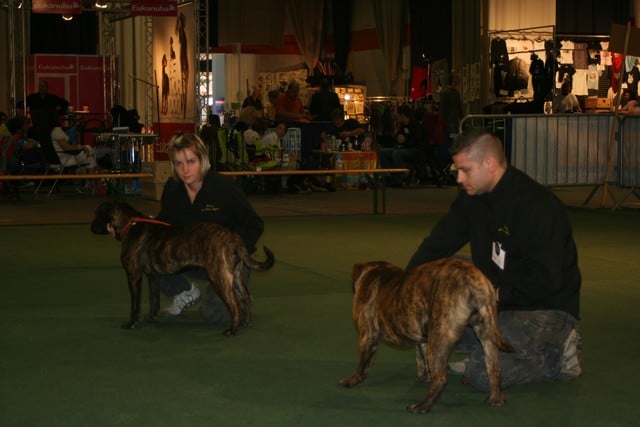 Publication : Cadeous des htes-fagnes