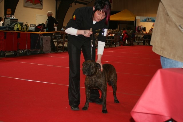 Hekla Cadeous des htes-fagnes - 1er Excellent CAC Meilleur Femelle