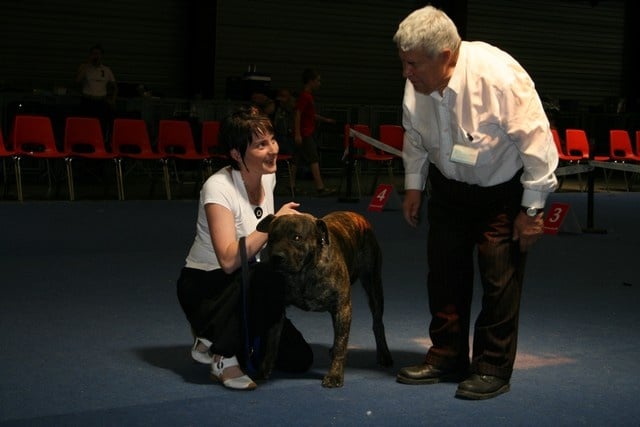 CH. Virat (Sans Affixe) - 1er Excellent