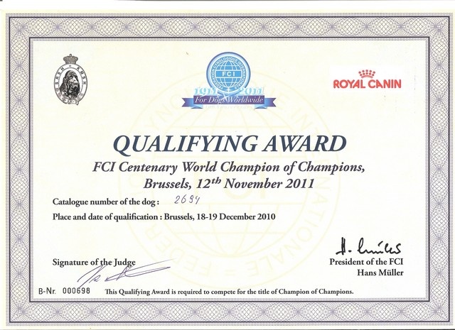 CH. Enya des guerriers divins d'asgard - CAC CACIB Belgian Winner + Qualifying Award FCI centenary World Champion Of Cham