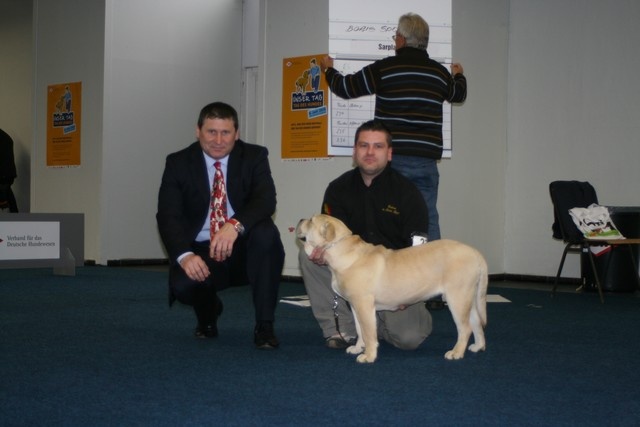 CH. Enya des guerriers divins d'asgard - 1er très prometteur Meilleur puppy