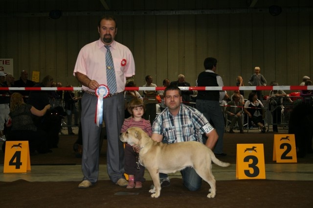 CH. Enya des guerriers divins d'asgard - 1er excellent, Champione jeune du luxembourg, meilleur femelle, meilleur de race