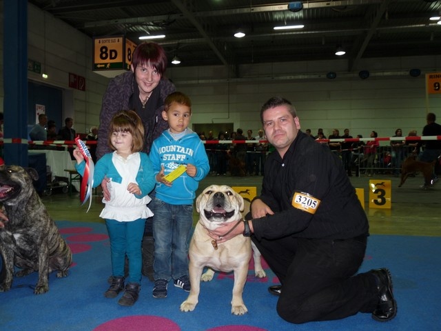 CH. Enya des guerriers divins d'asgard - CACL CACIB Meilleur femelle et Meilleur de race