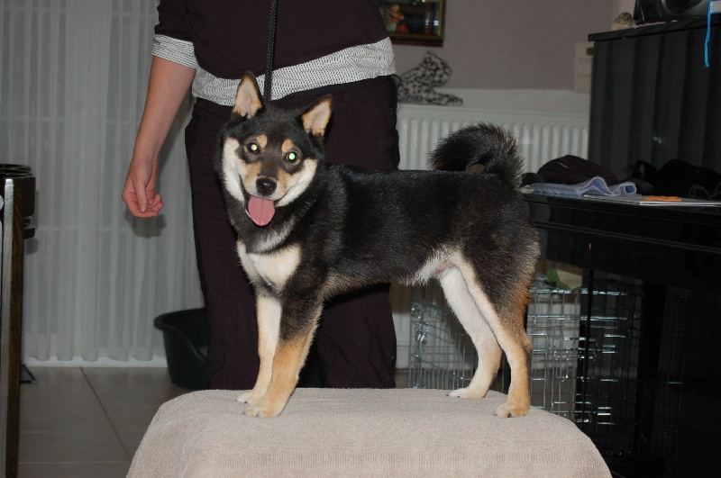 Publication : van de Kerselereveld Auteur : Wilmsen Myriam