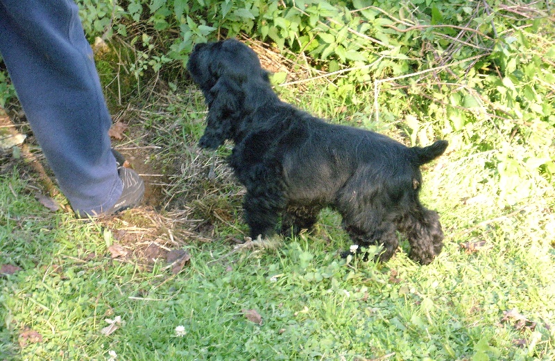 Publication : Of Tender Look Auteur : Sonia Devillière