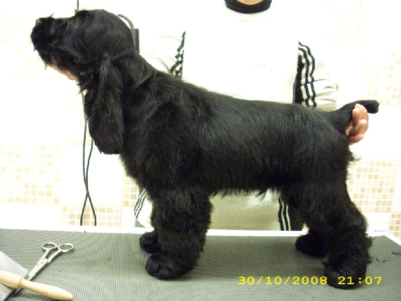 Publication : Of Tender Look Auteur : Sonia Devillière