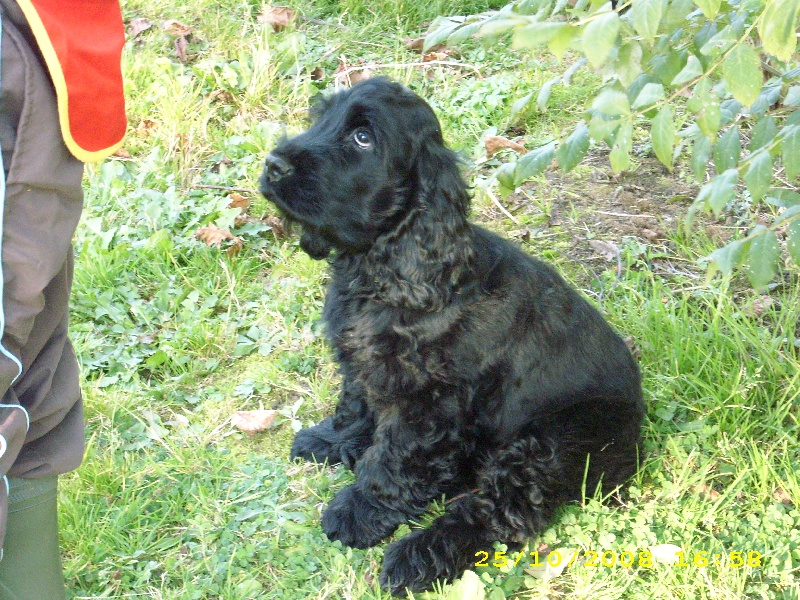 Publication : Of Tender Look Auteur : Sonia Devillière