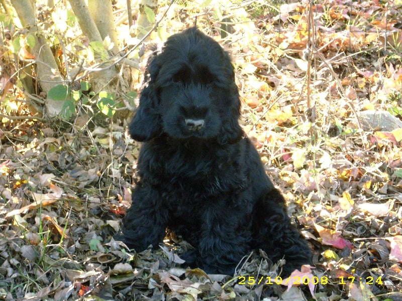 Publication : Of Tender Look Auteur : Sonia Devillière