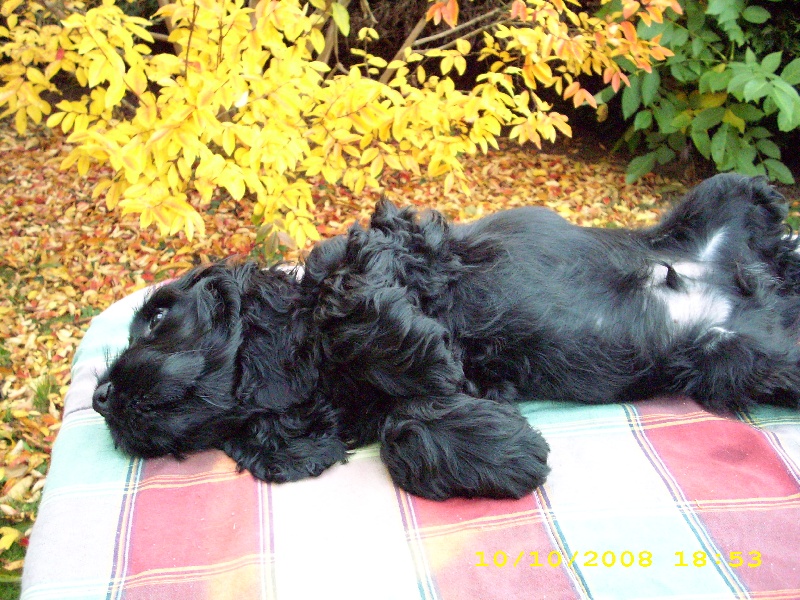 Publication : Of Tender Look Auteur : Sonia Devillière