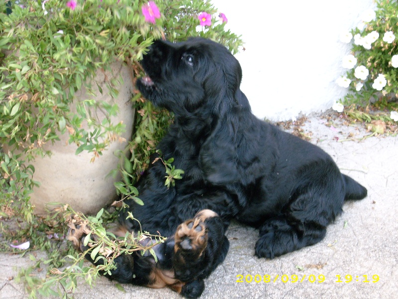 Publication : Of Tender Look Auteur : Sonia Devillière