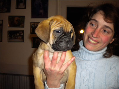 Publication : des Hauts de Gaumont