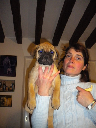 Publication : des Hauts de Gaumont