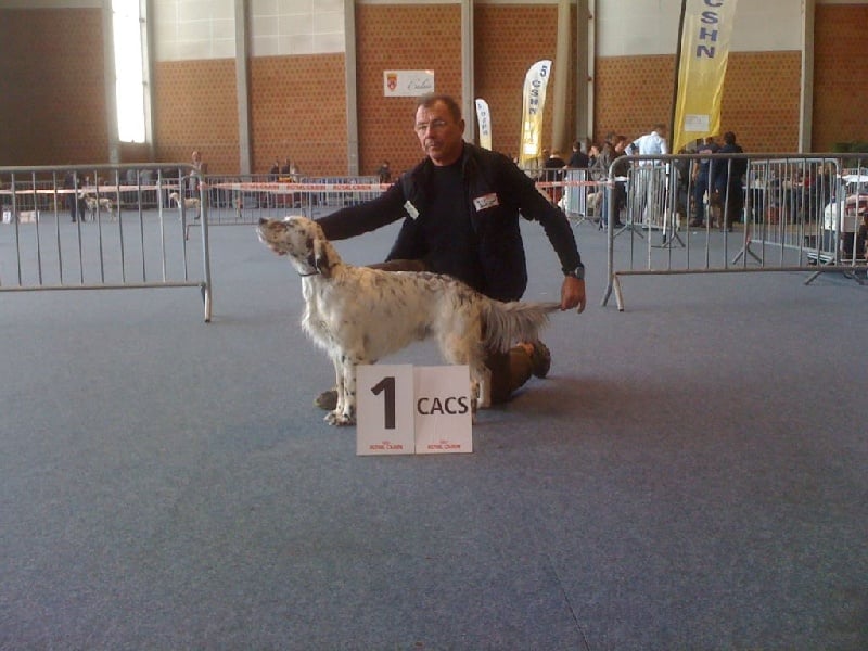 Publication : des Pins de Stella Auteur : PIERRE MERLIN