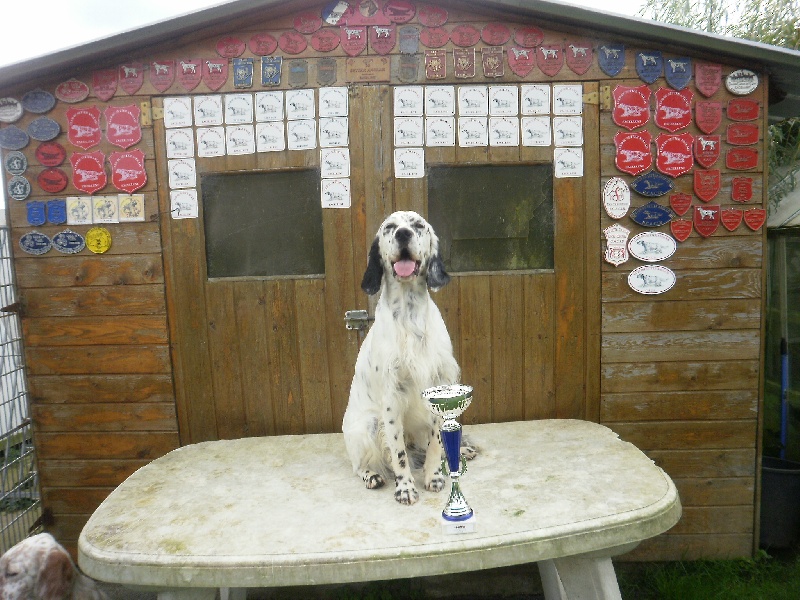 Publication : des Pins de Stella Auteur : PIERRE MERLIN