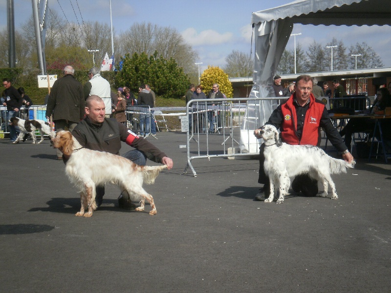 Publication : des Pins de Stella Auteur : PIERRE MERLIN