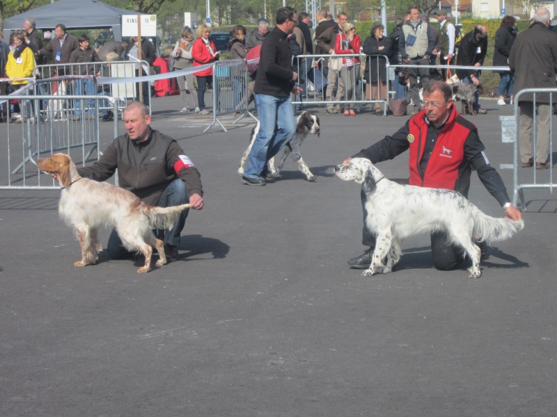 Publication : des Pins de Stella Auteur : PIERRE MERLIN