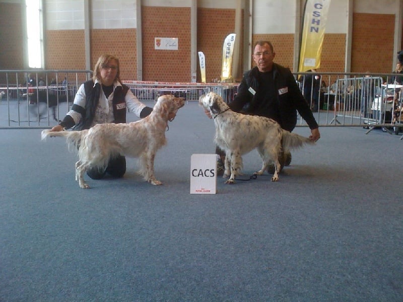 Publication : des Pins de Stella Auteur : PIERRE MERLIN