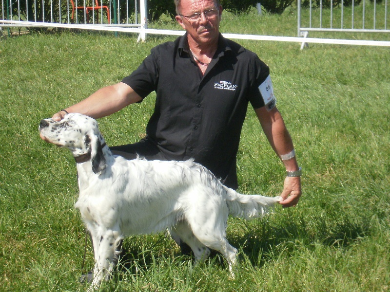 TR. Gibss des brumes du rocher - MEILLEUR PUPPY