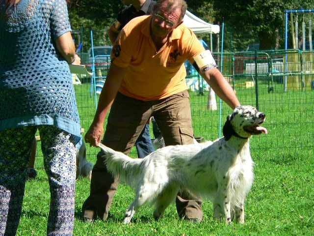 TR. Gibss des brumes du rocher - 2eme EXCELLENT CTM