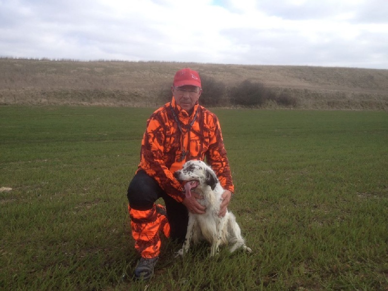 TR. Gibss des brumes du rocher - 4EME EXCELLENT/COUPLE