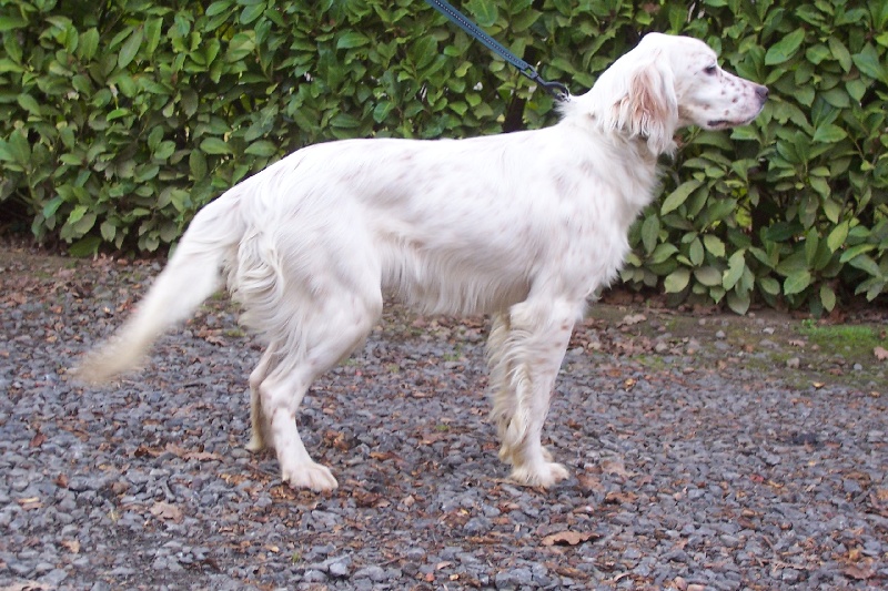 Publication : de Madolly's Auteur : Jennifer Dupey